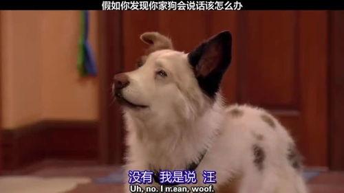 假如狗会说话娱乐吃瓜酱
